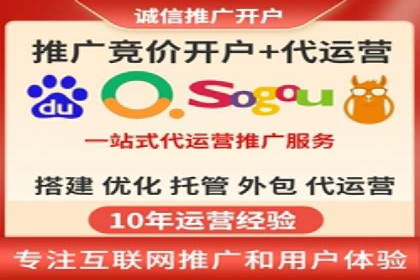 某知名品牌SEM运营策略及效果评估